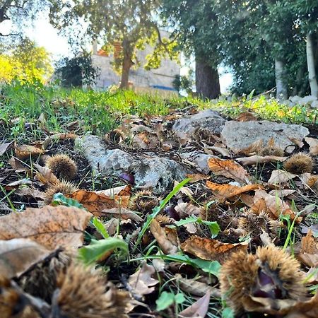 Il Trullo E Il Fortino Alberobello Exteriér fotografie