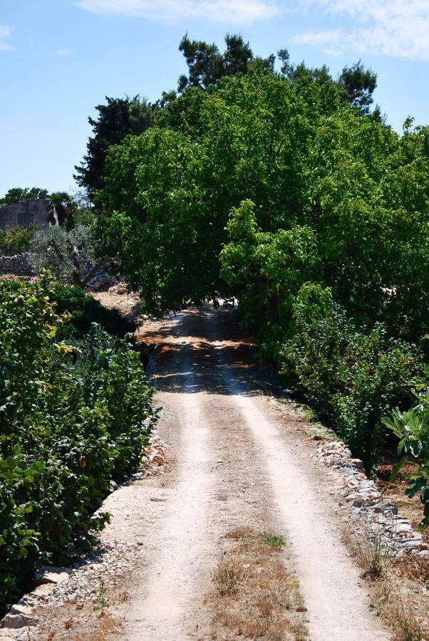 Il Trullo E Il Fortino Alberobello Exteriér fotografie